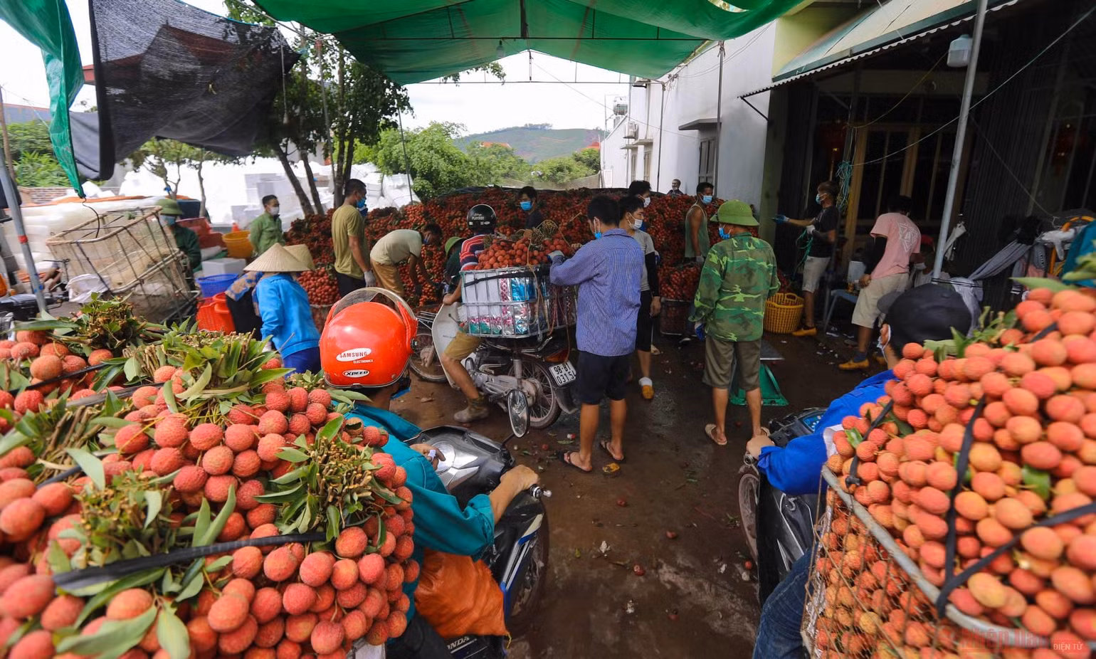 24_vai_thieu_bac_giang-1623834782010.jpeg