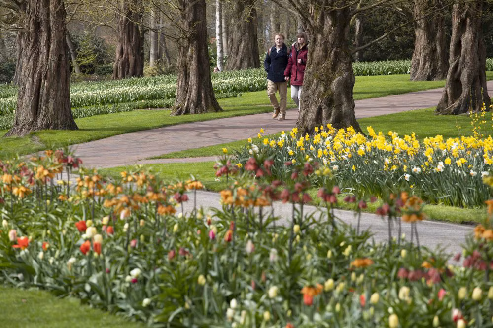 Hà Lan chào đón du khách vườn hoa nổi tiếng Keukenhof -0