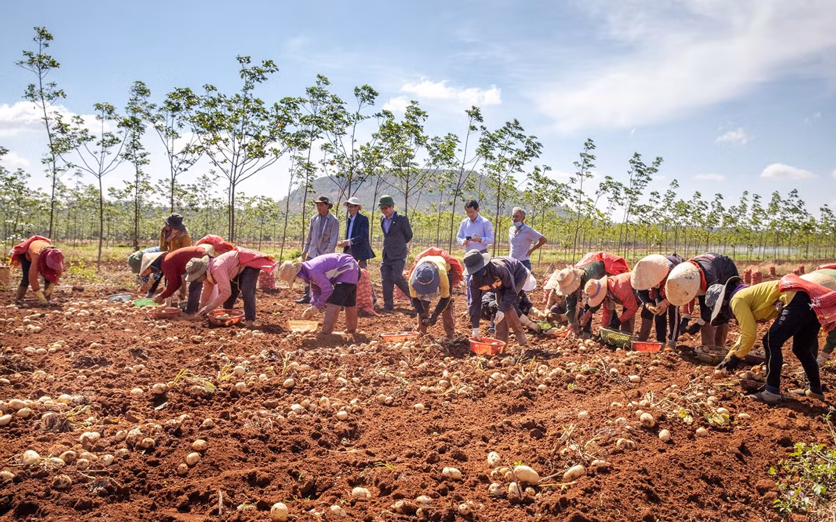 Hỗ trợ nhân rộng chương trình 