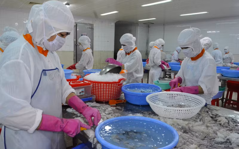 Kiên Giang chỉ đặt mục tiêu tăng trưởng dương trong năm 2021 -0