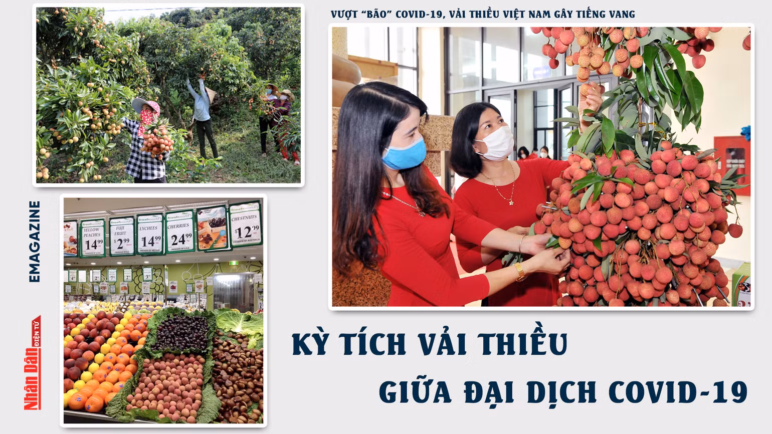 Kỳ tích vải thiều giữa đại dịch Covid-19 -0