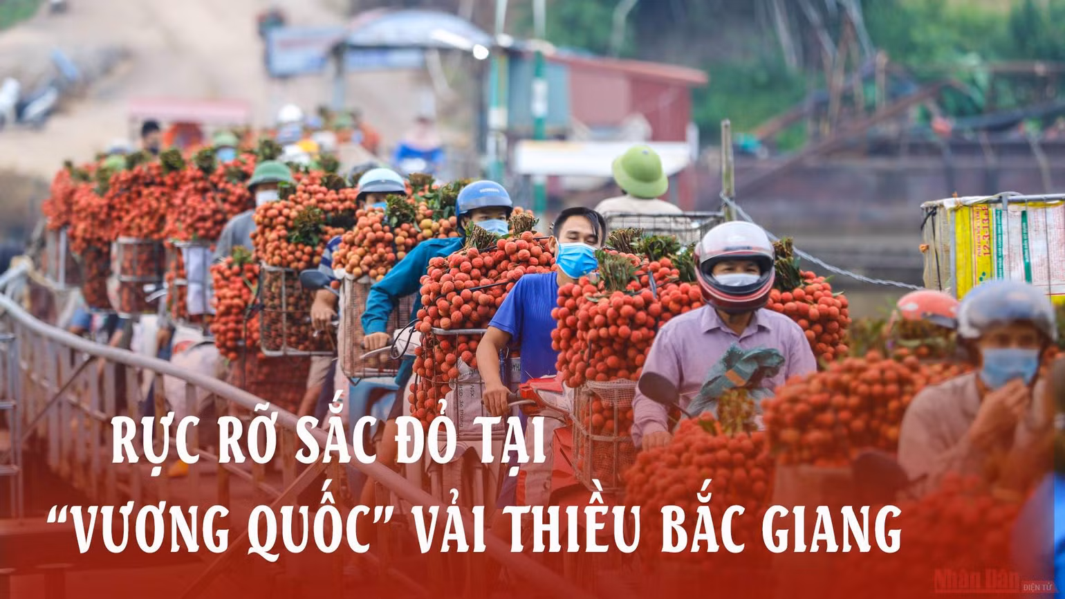 Rực rỡ sắc đỏ tại 