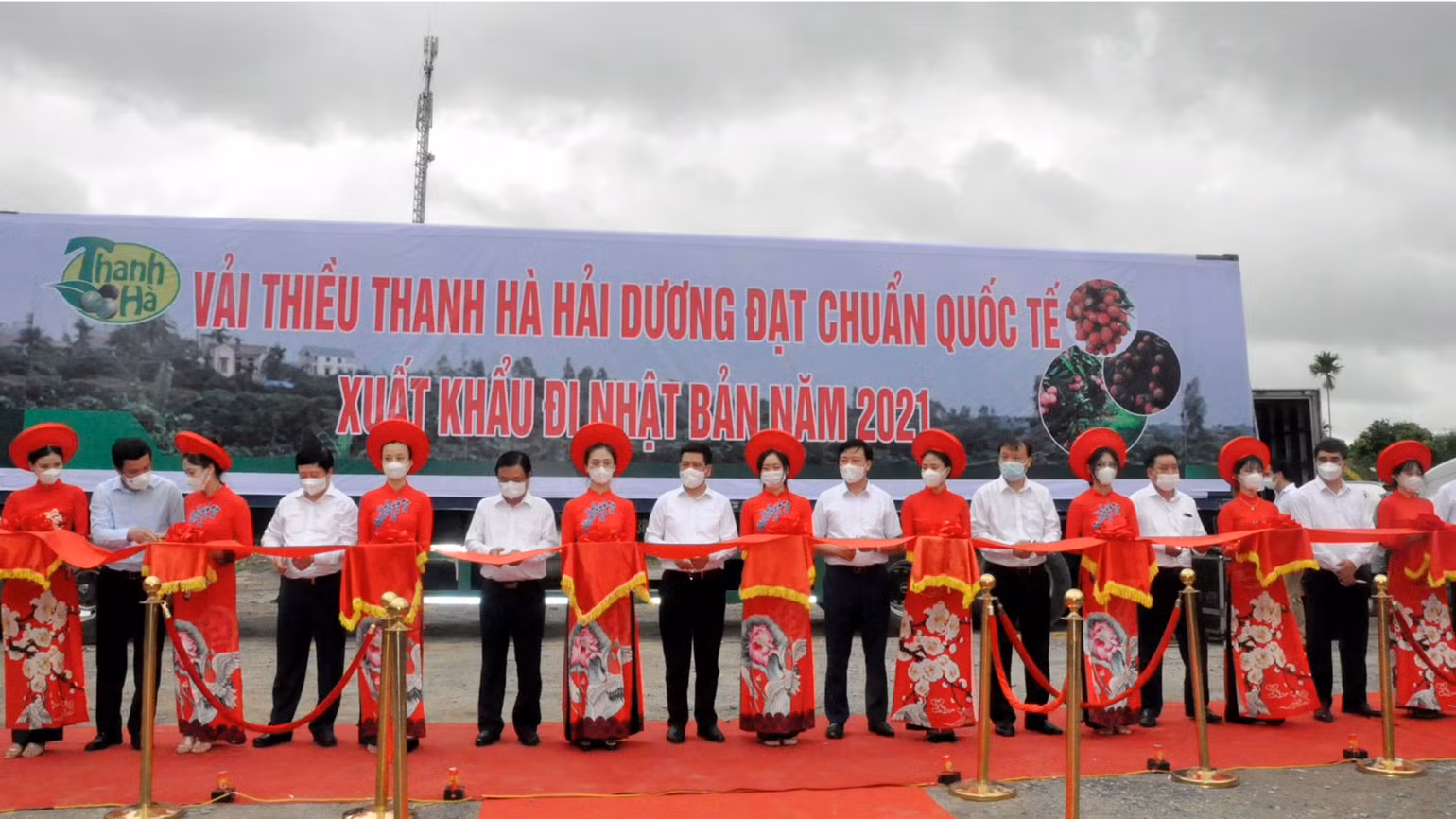 Kỳ tích của trái vải nhỏ -0