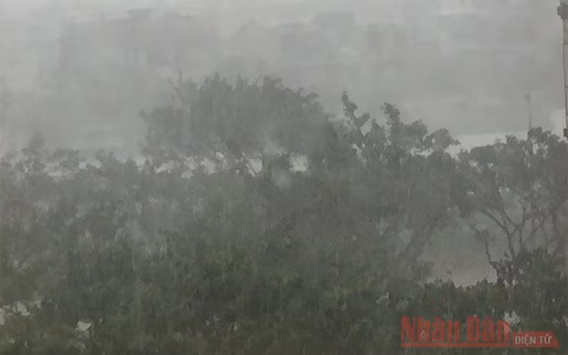 Bão giật cấp 16 vào vùng biển Đà Nẵng đến Phú Yên -0