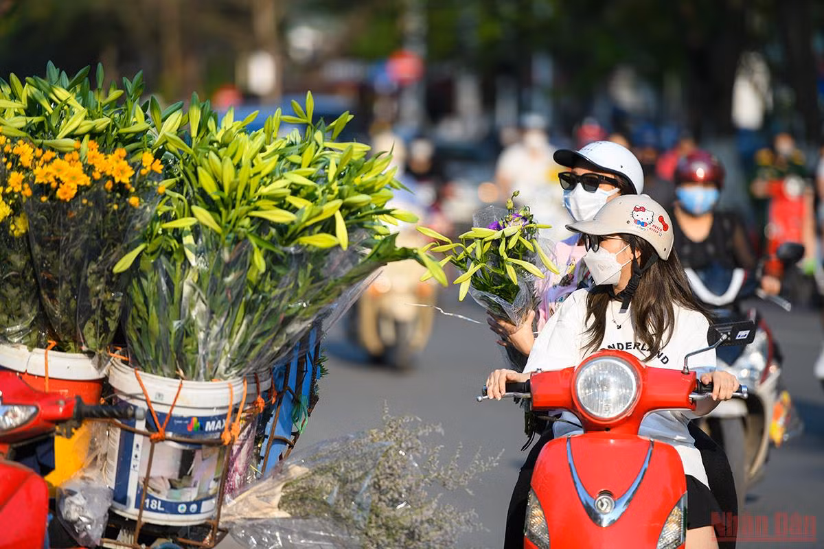 Tháng tư mùa hoa loa kèn tinh khôi xuống phố Hà Nội -0