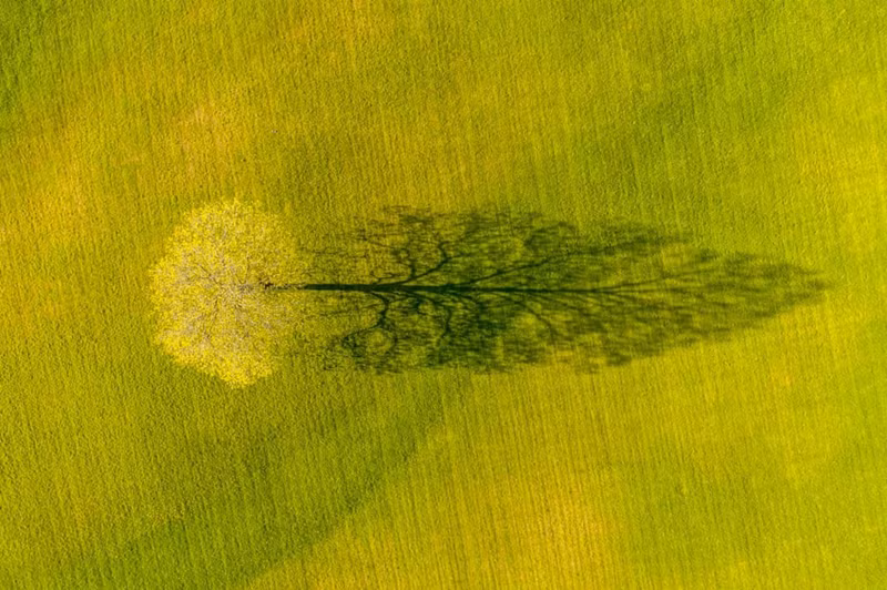 5.jpg -6