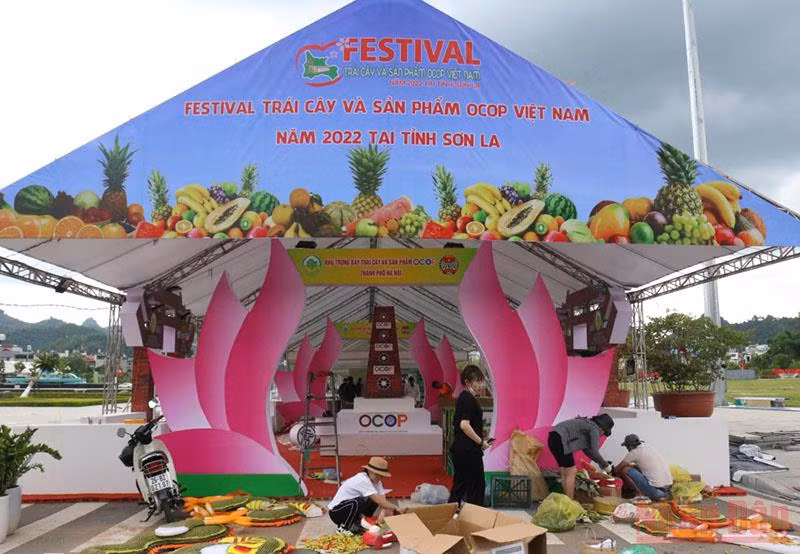 Sẵn sàng cho Hội nghị Thủ tướng đối thoại với nông dân -0