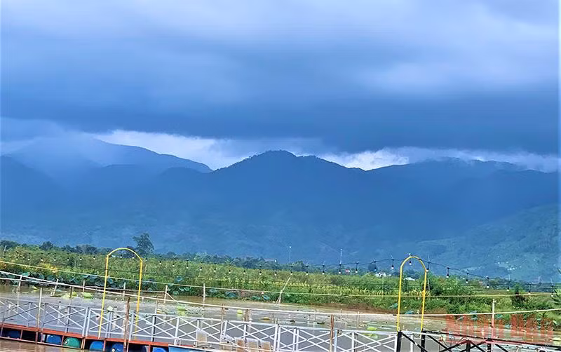 Thơ mộng hồ Lắk giữa đại ngàn Tây Nguyên -0