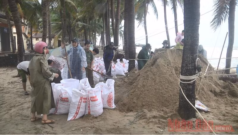 Dồn sức giữ bờ biển Cửa Đại -0