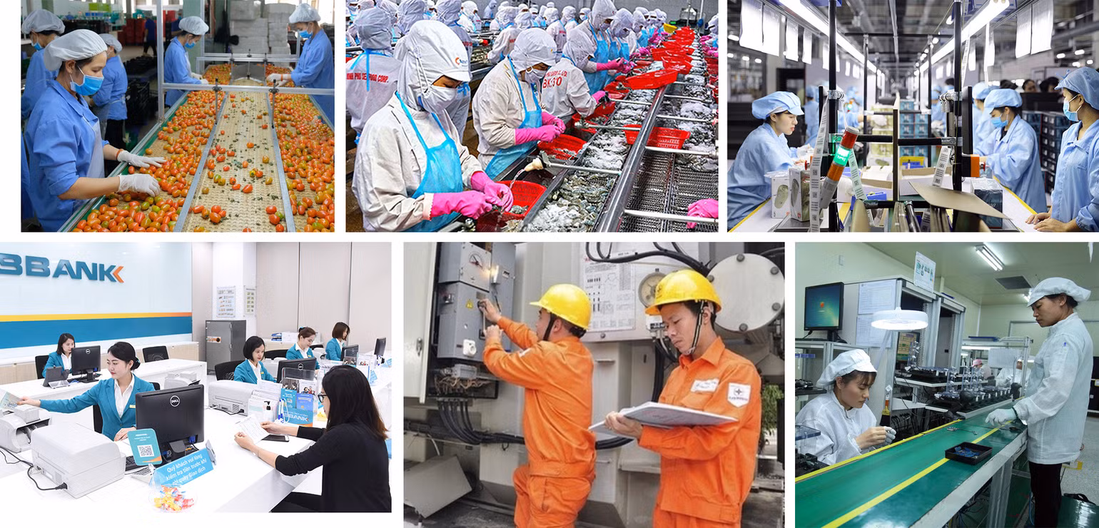 Tạo động lực cho thị trường lao động hiện đại và việc làm bền vững -0