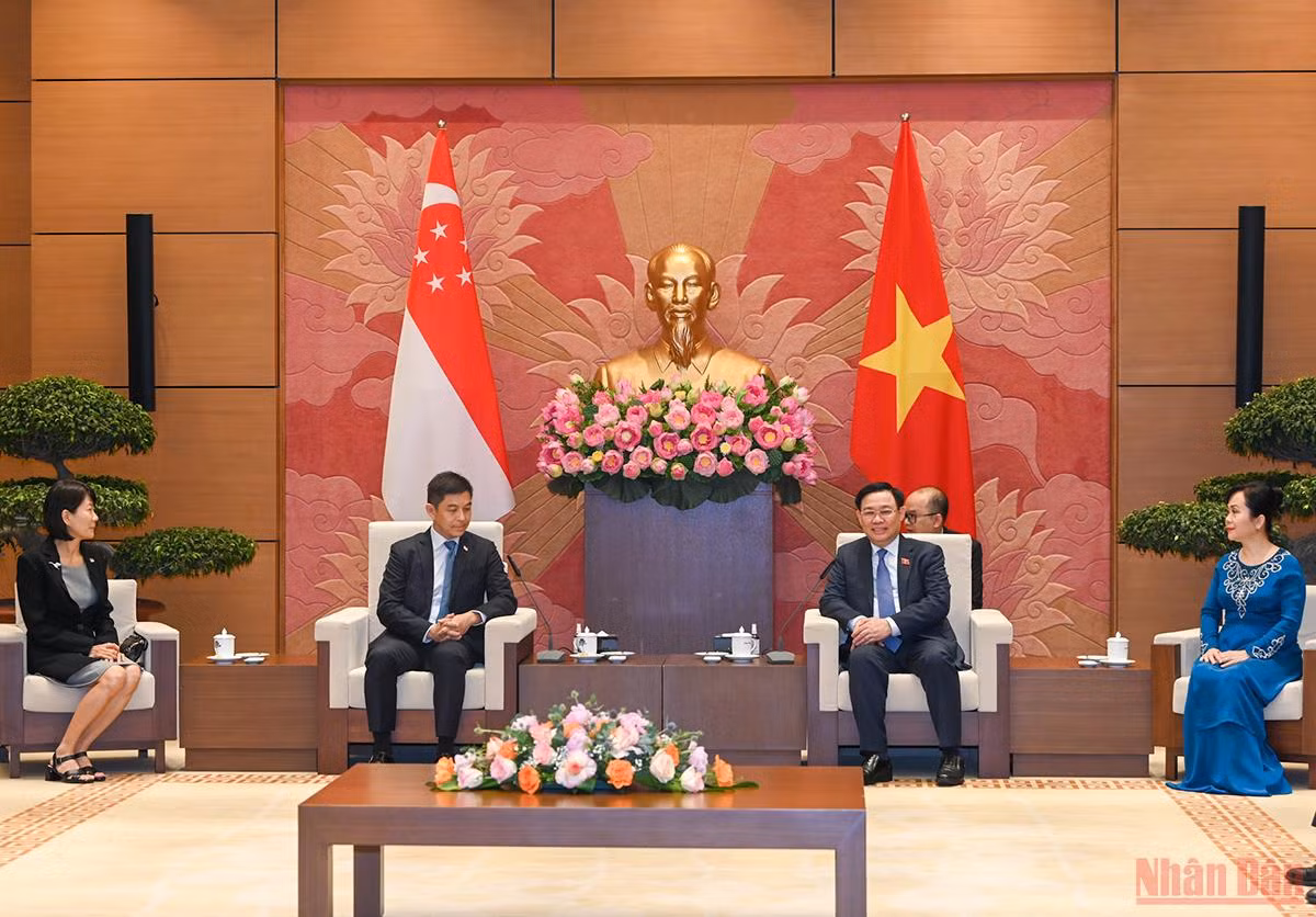 Chủ tịch Quốc hội Vương Đình Huệ đón, hội đàm với Chủ tịch Quốc hội Singapore Tan Chuan-Jin -3