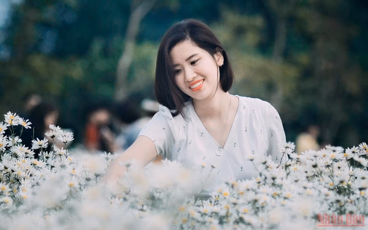 Xôn xao Hà Nội mùa 