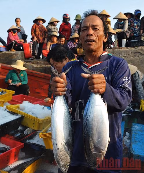 Điểm tựa vững chắc cho ngư dân vươn khơi bám biển -6