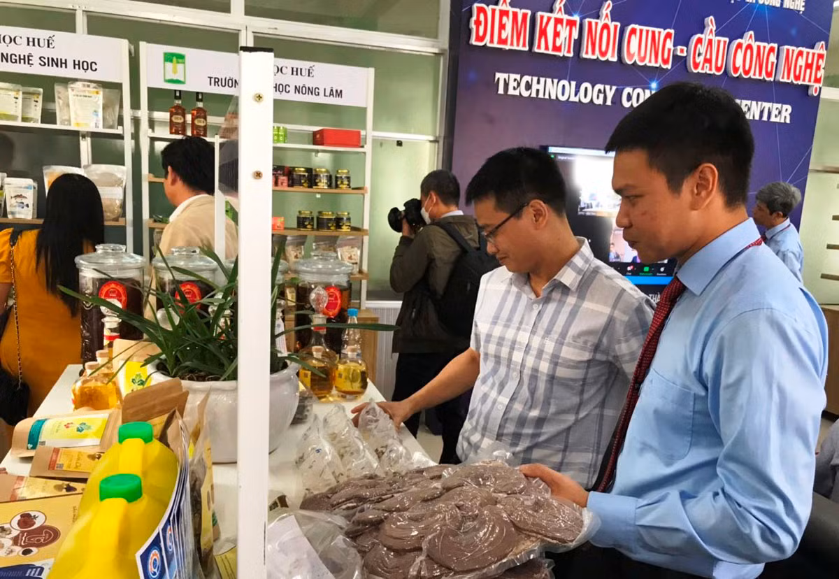 Khai trương Cổng kết nối dữ liệu Quốc gia, Sàn giao dịch công nghệ và điểm kết nối cung - cầu công nghệ -0
