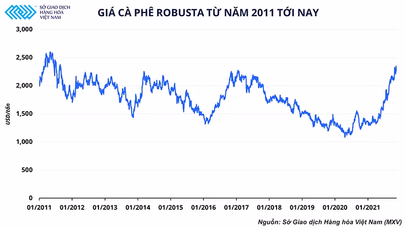 Giá cà-phê lên đỉnh 10 năm và cơ hội của ngành cà-phê Việt Nam -0