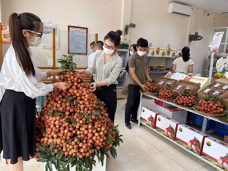 Bài 4: Nỗ lực vượt khó -0