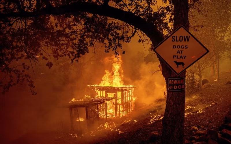 California trong vòng vây của “giặc lửa” -2