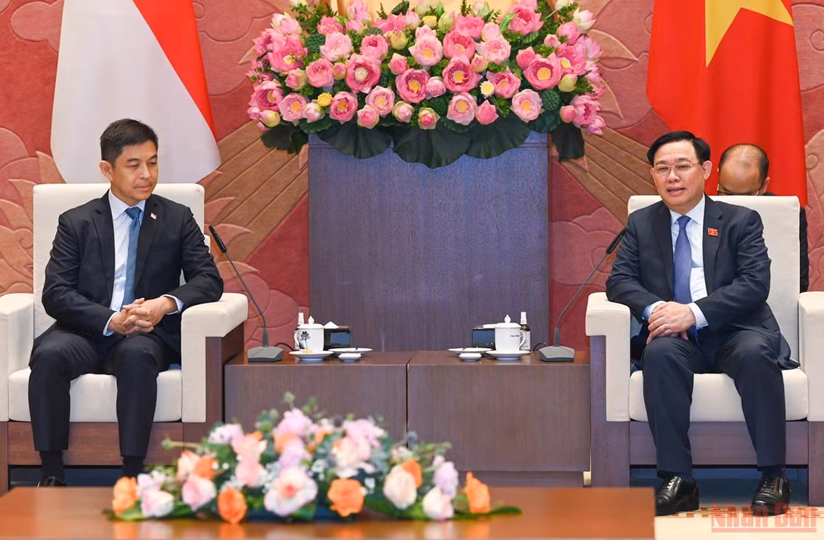 Chủ tịch Quốc hội Vương Đình Huệ đón, hội đàm với Chủ tịch Quốc hội Singapore Tan Chuan-Jin -4