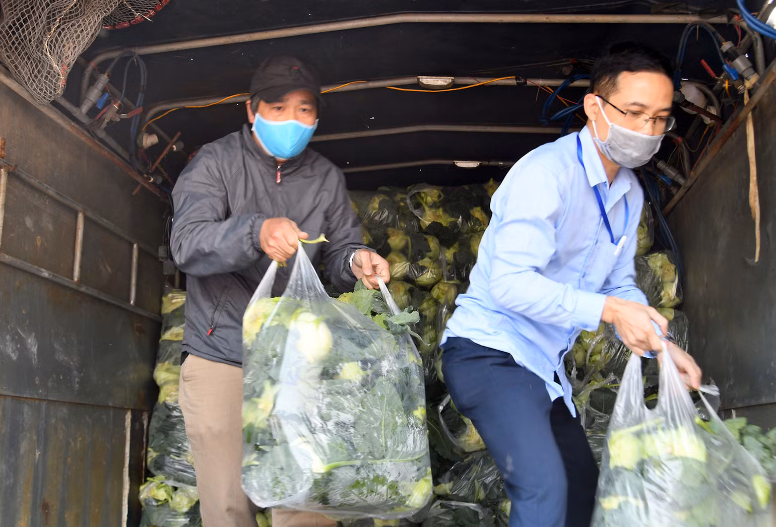Người dân Hà Nội chung tay tiêu thụ nông sản Hải Dương -0