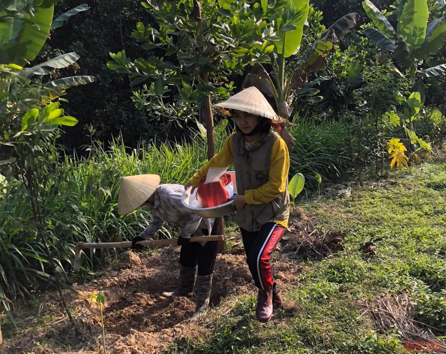 Người phụ nữ bản Thổ khát vọng hồi sinh những cánh rừng và giấc mơ sinh kế bền vững -0