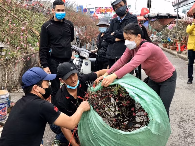 Kiểm tra hoạt động chợ hoa Xuân tại Hà Nội -0