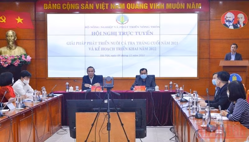Nâng cao chất lượng sản xuất chế biến cá tra -0