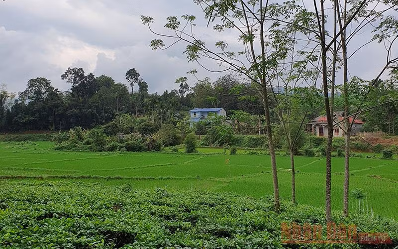Ký ức Hợp Thành -0