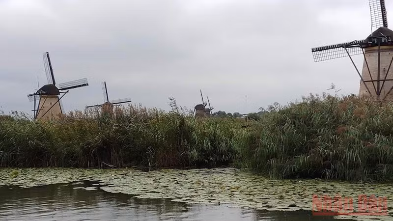 Hà Lan – cuộc chuyện trò của nước -0