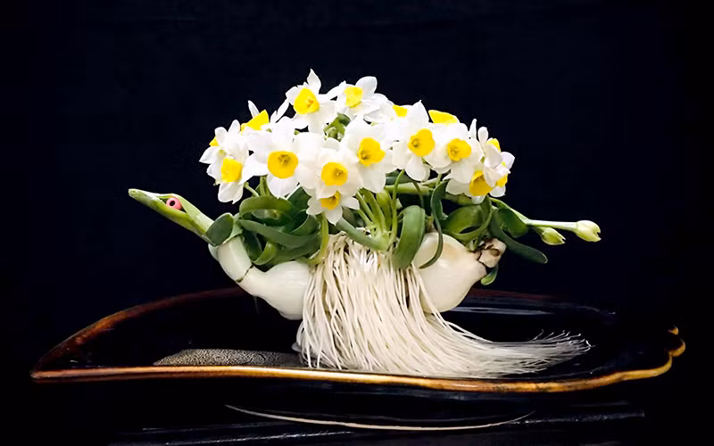 Mùa hoa thủy tiên -0