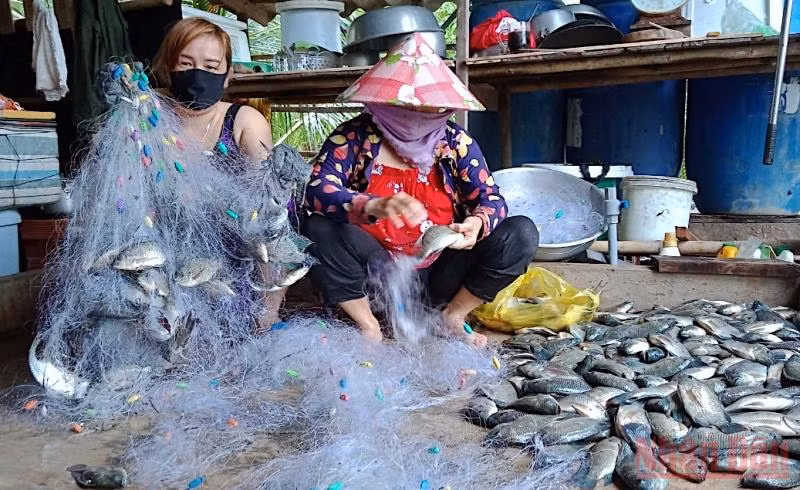 Cà Mau gửi yêu thương về tâm dịch… -0