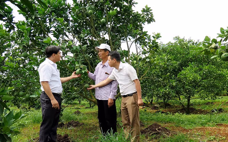 Mở “cánh cửa lớn” cho nông nghiệp -0