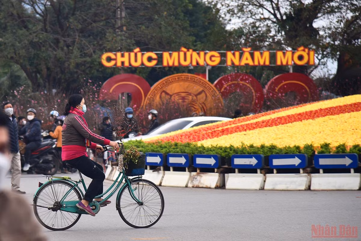 Hà Nội sôi động thị trường đào, quất ngày 28 Tết -0
