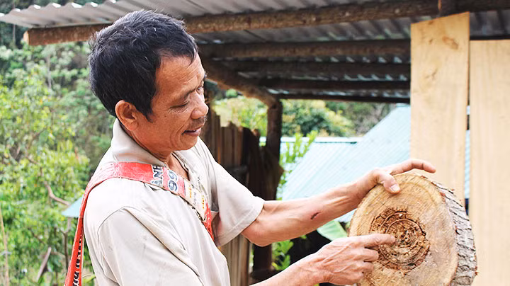 Tìm cây trồng phù hợp cho Mường Lát -0
