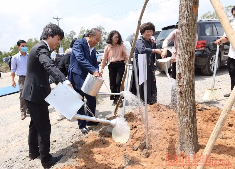 Khởi công dự án chăn nuôi bò sữa lớn nhất khu vực đồng bằng sông Cửu Long -0