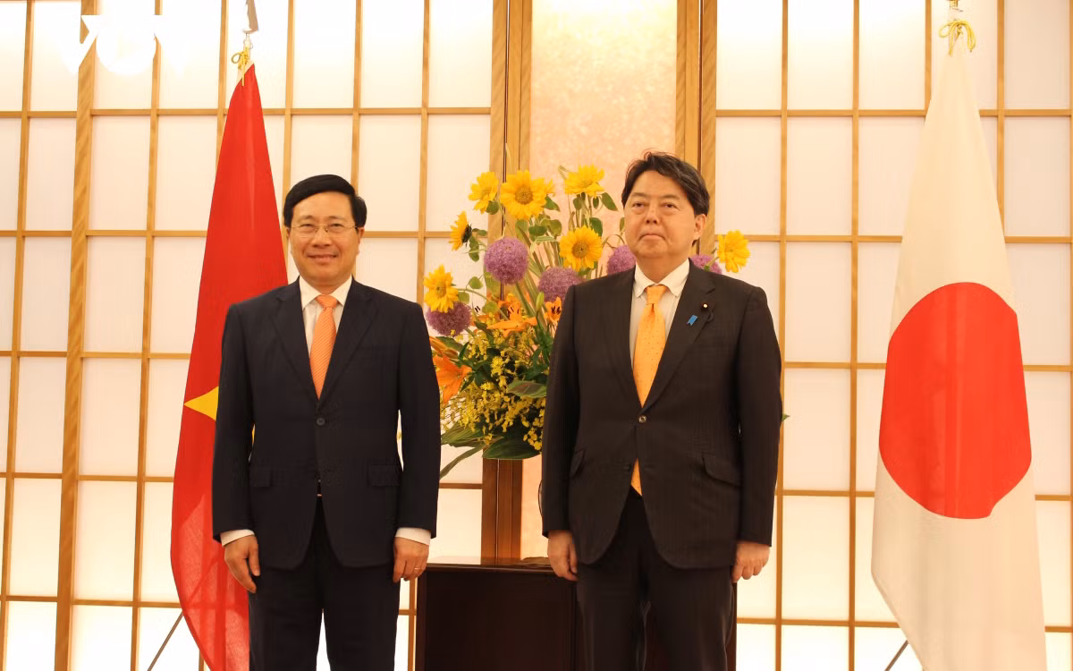 Thúc đẩy quan hệ Việt Nam-Nhật Bản phát triển mạnh mẽ, thực chất -0