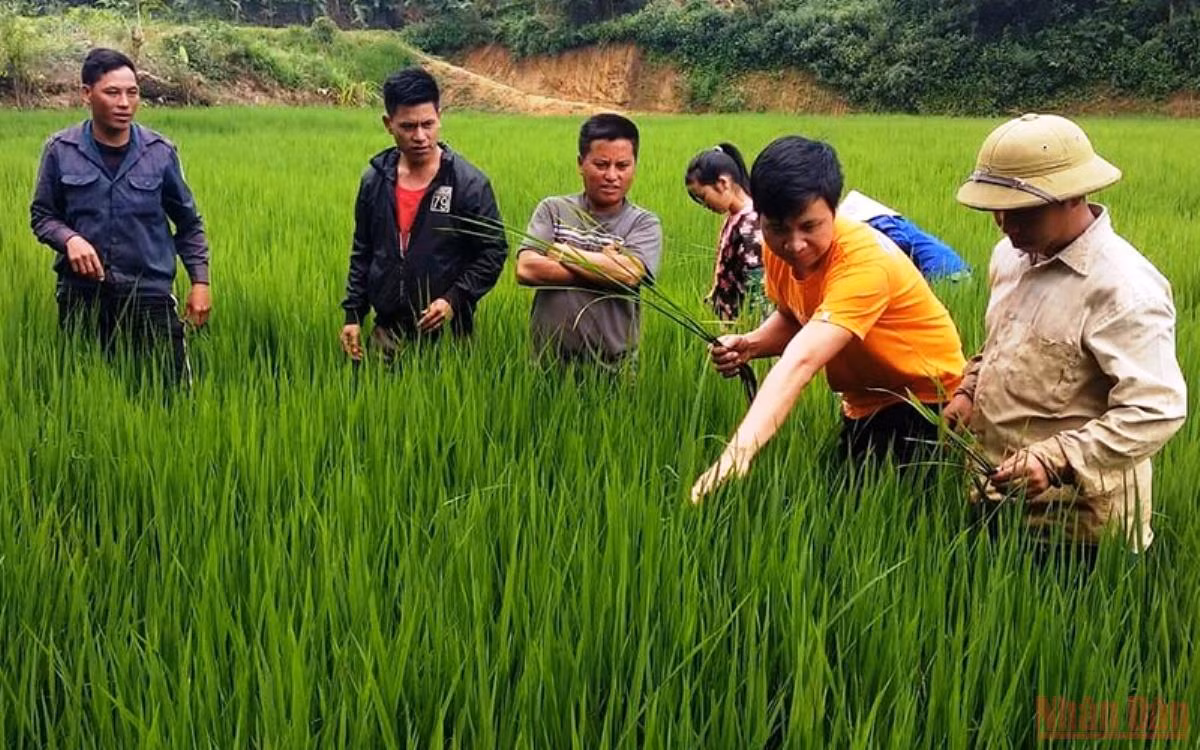 Để chính sách của Đảng, Nhà nước đến gần với dân tộc thiểu số và miền núi -0