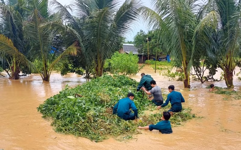 Mưa lớn kéo dài gây ngập nhiều diện tích cây trồng tại Lâm Đồng -0