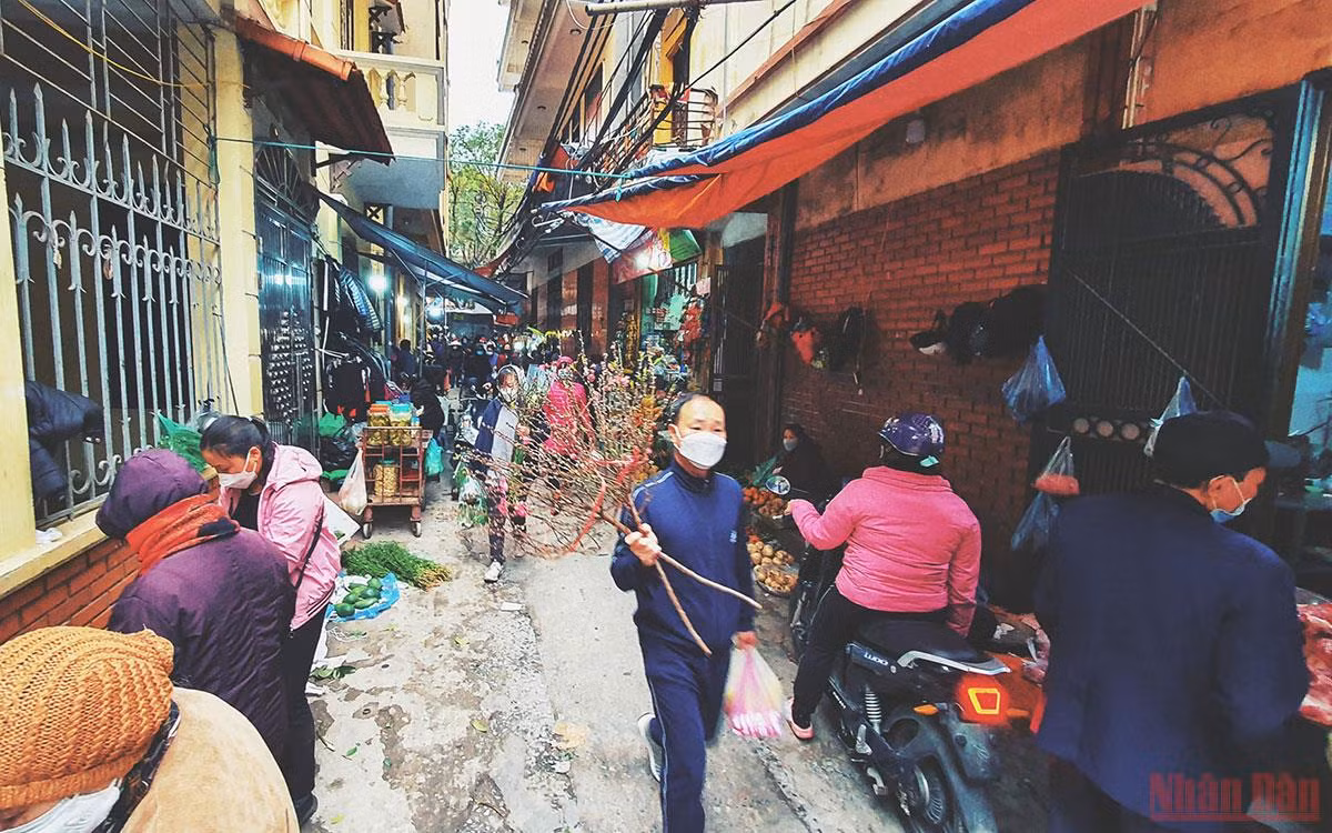 Giá cả thị trường bình ổn, không hiếm hàng, khan giá -0