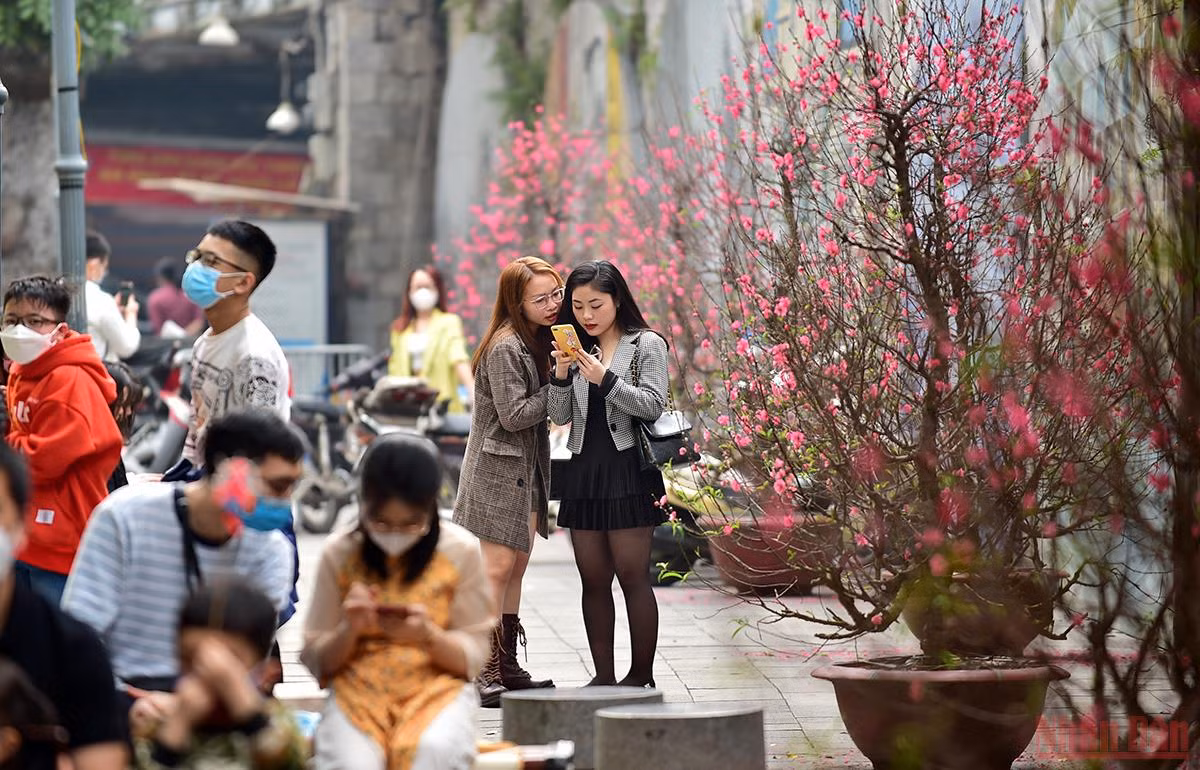 Hà Nội “thay áo mới” rực rỡ đón Xuân Nhâm Dần 2022 -0