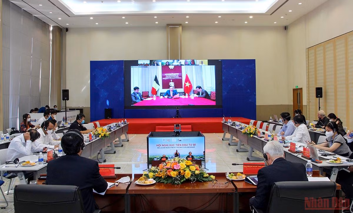 Bình Dương xúc tiến đầu tư trực tuyến với doanh nghiệp Bỉ -0