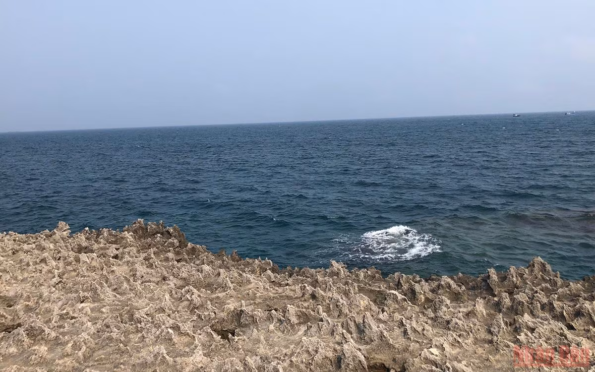 Khám phá bãi đá cổ di sản Hang Rái, Ninh Thuận -5