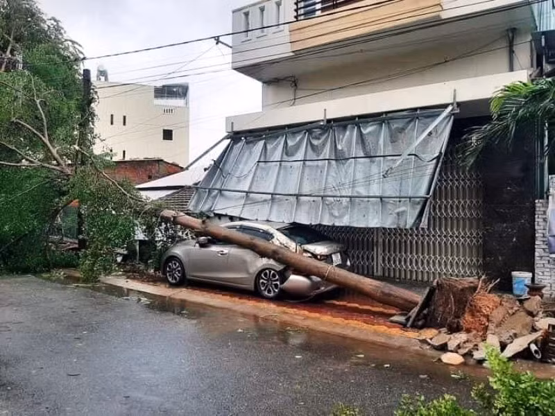 a1.jpg -0
