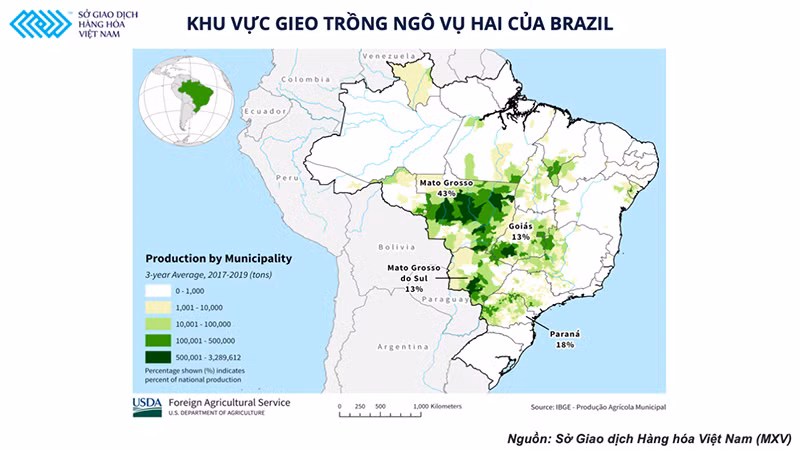 Vụ ngô thứ 2 của Brazil liệu có hạn chế được đà tăng của giá thức ăn chăn nuôi trong thời gian tới ? -0