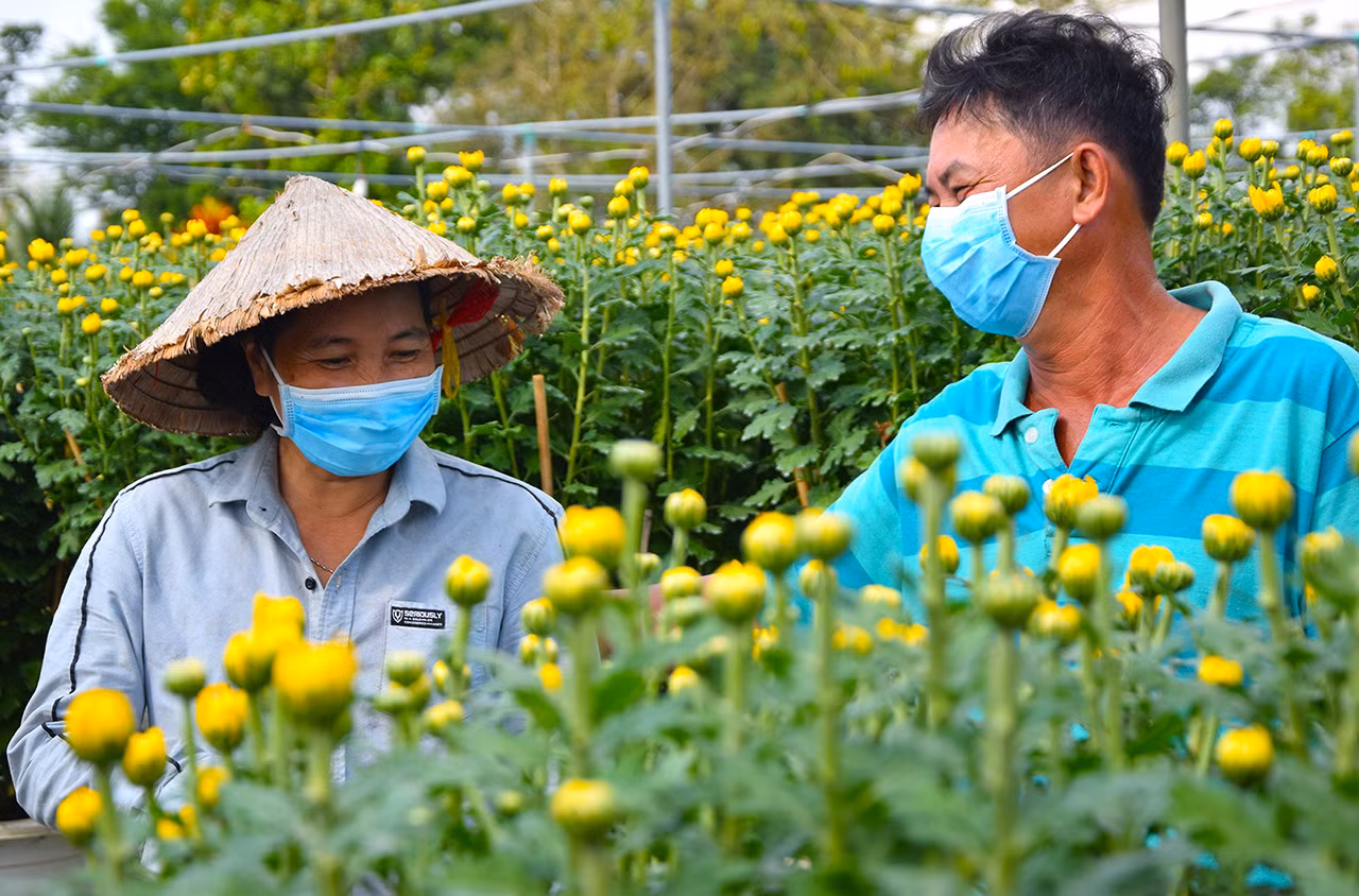 Niềm vui của bà con trồng hoa trước thềm xuân -0