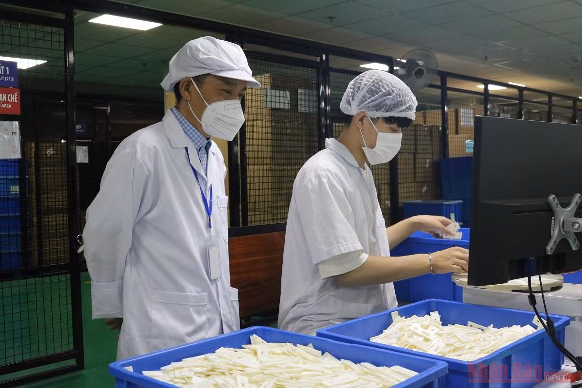 Công ty Medicon trao tặng 100.000 bộ kit test nhanh kháng nguyên cho TP Hồ Chí Minh -3
