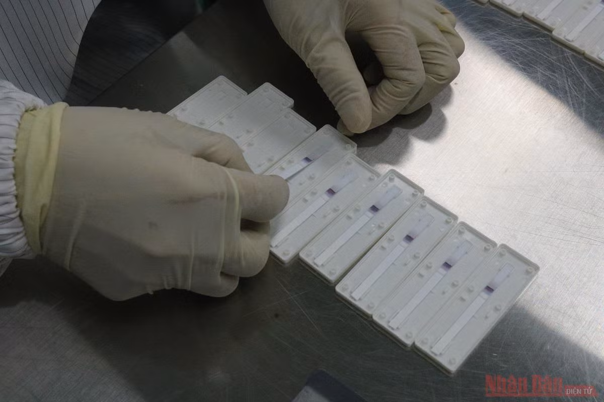 Công ty Medicon trao tặng 100.000 bộ kit test nhanh kháng nguyên cho TP Hồ Chí Minh -1