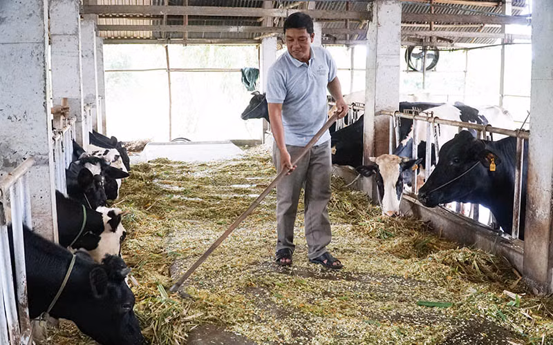 Người Khmer vượt khó, làm giàu -0