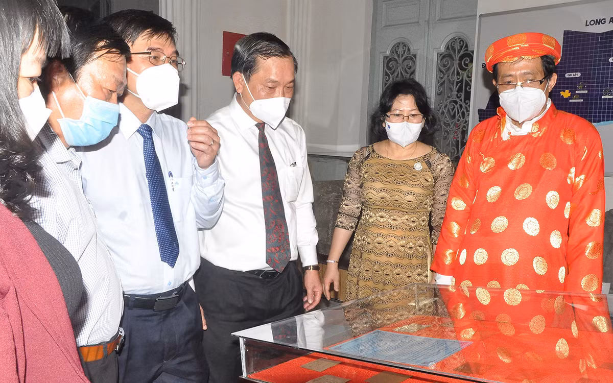Sưu tập vàng lá chạm khắc hình voi Gò Thành là bảo vật quốc gia -0