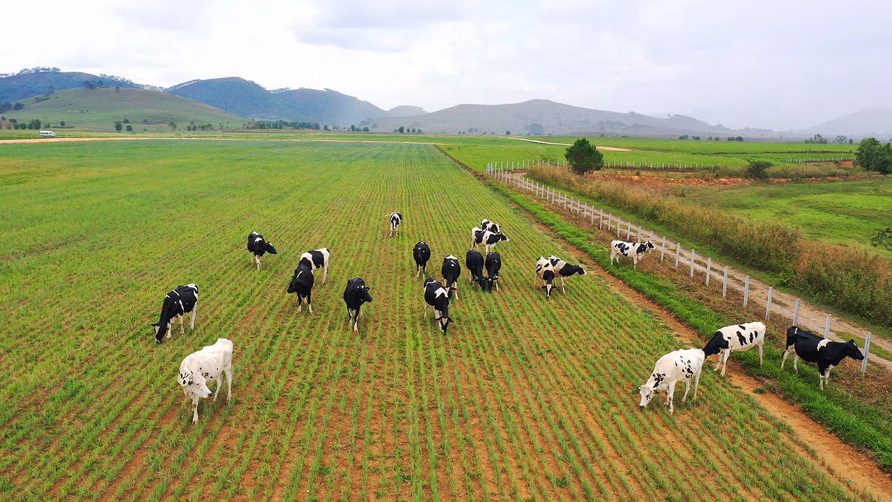 Siêu dự án trang trại của Vinamilk tại Lào sẽ đi vào hoạt động từ đầu năm 2022 -0