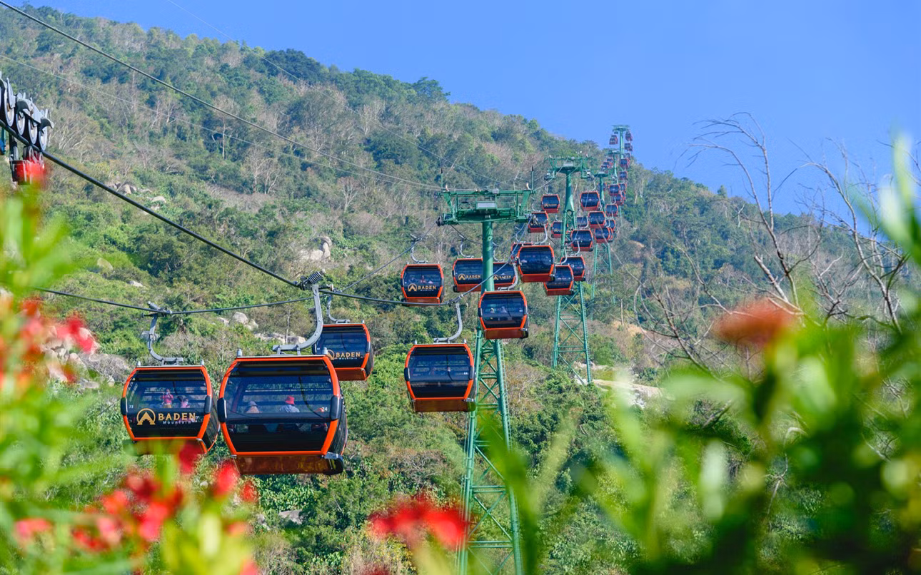 Rực rỡ sắc hoa tulip trên đỉnh núi Bà Đen -0